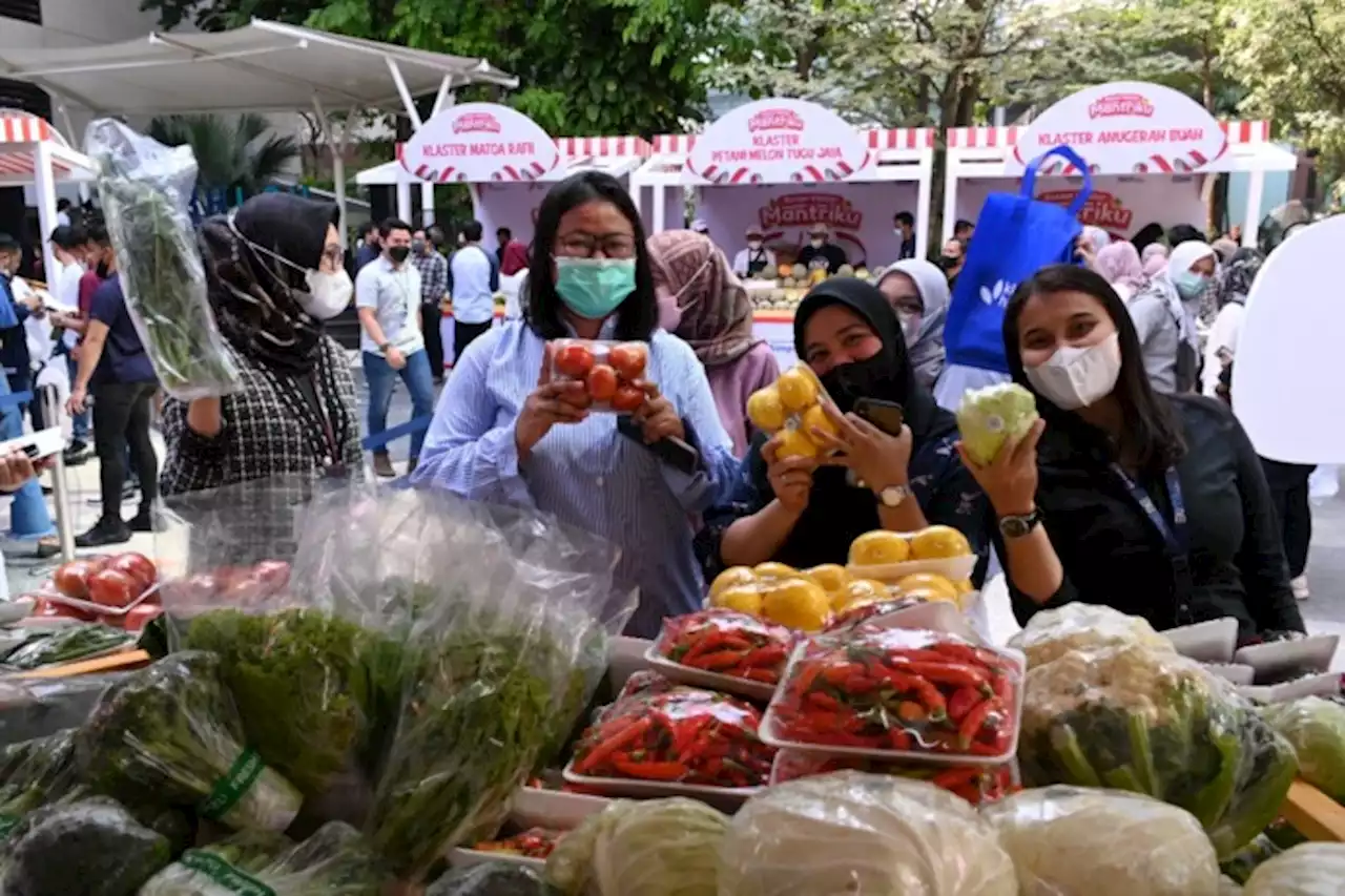 Berdayakan 11 Ribu Klaster Usaha, BRI Perkuat Komitmen Bawa UMKM Naik Kelas