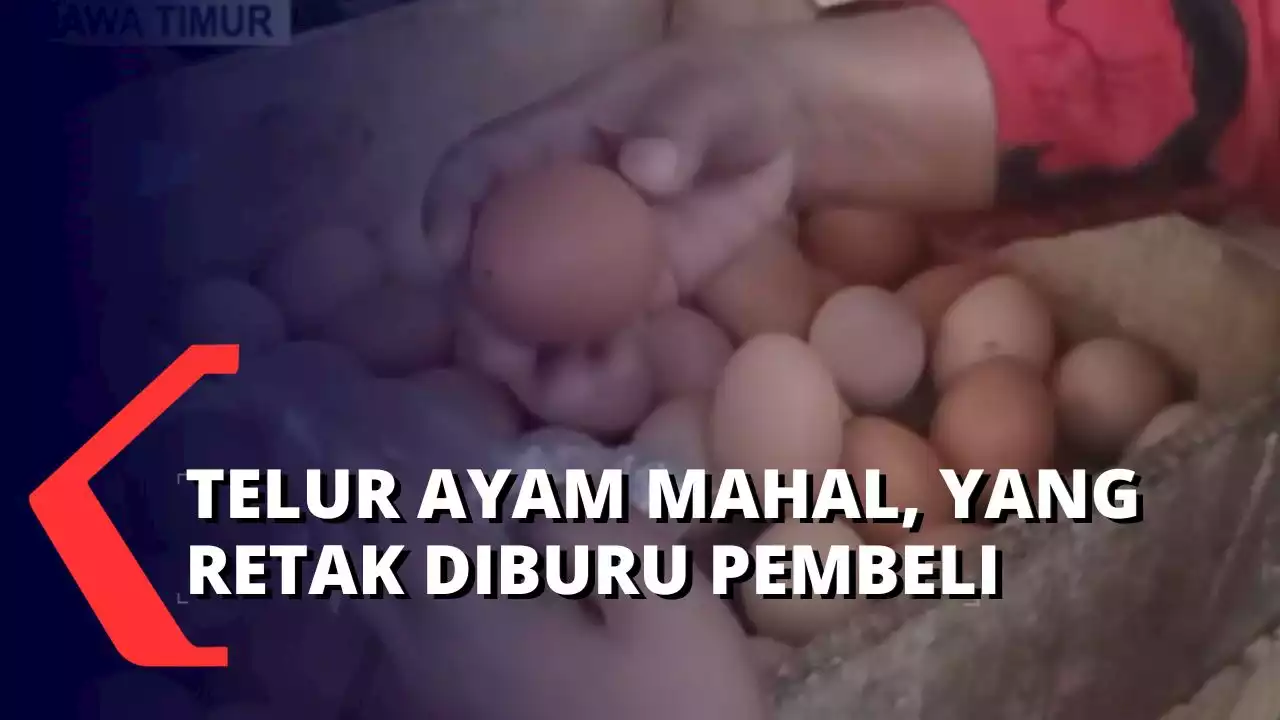 Siasati Naiknya Harga Telur, Pembeli Buru Telur Retak yang Harganya Lebih Murah