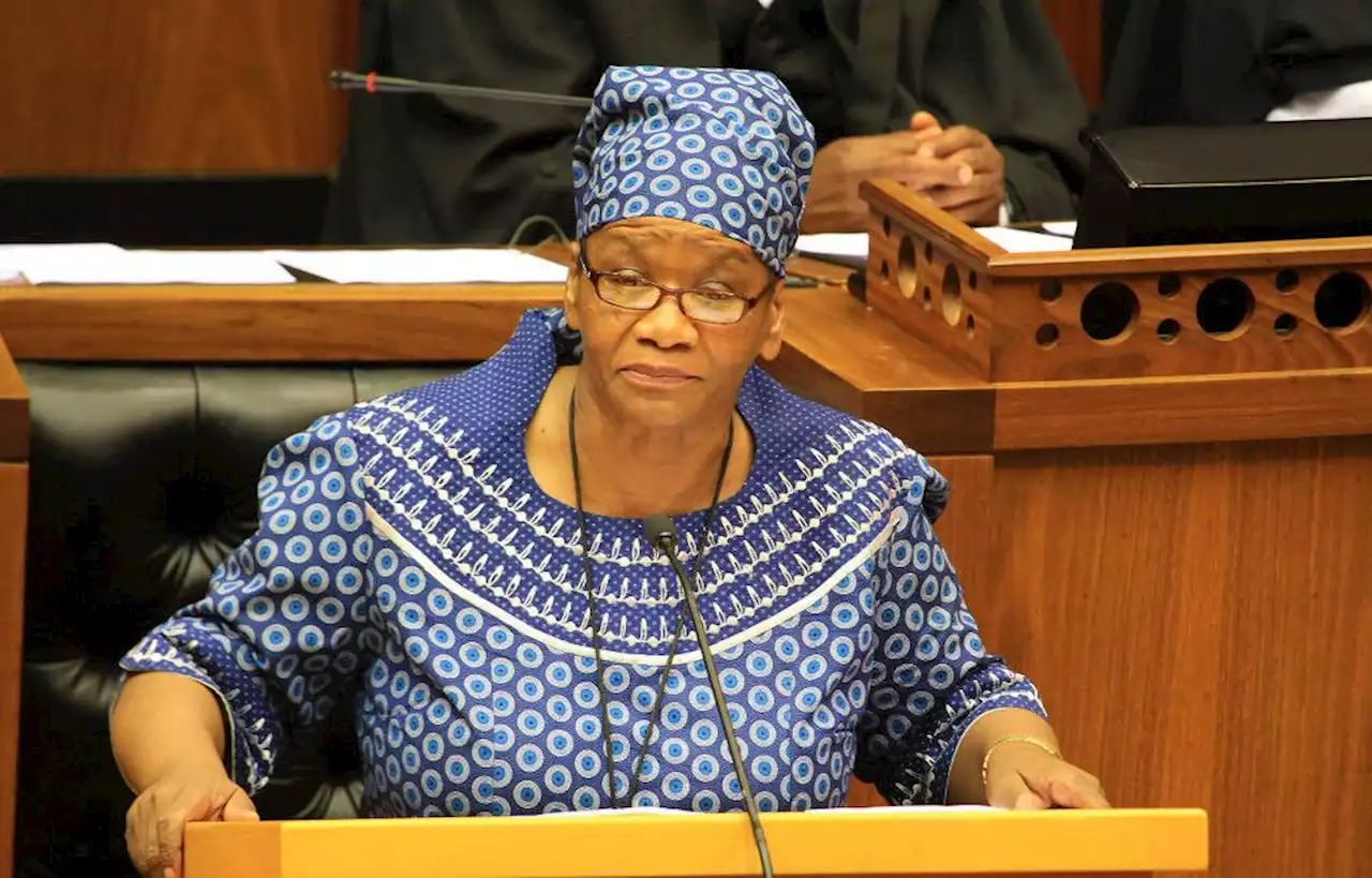 Modise’s trip to Russia highlights ANC’s ‘blind spot’