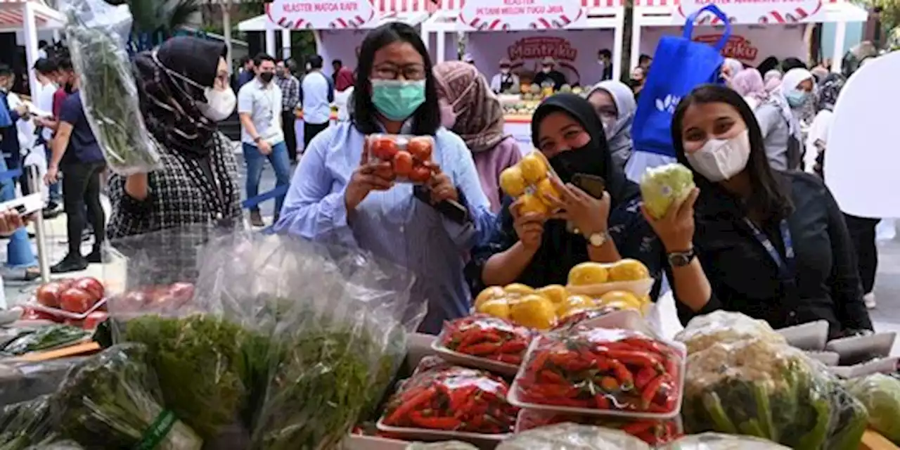 Berdayakan 11 Ribu Klaster Usaha, BRI Perkuat Komitmen Bawa UMKM Naik Kelas | merdeka.com