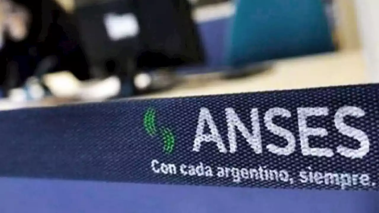 Pagos de ANSES: quiénes cobran entre el lunes 22 y el viernes 26 de agosto