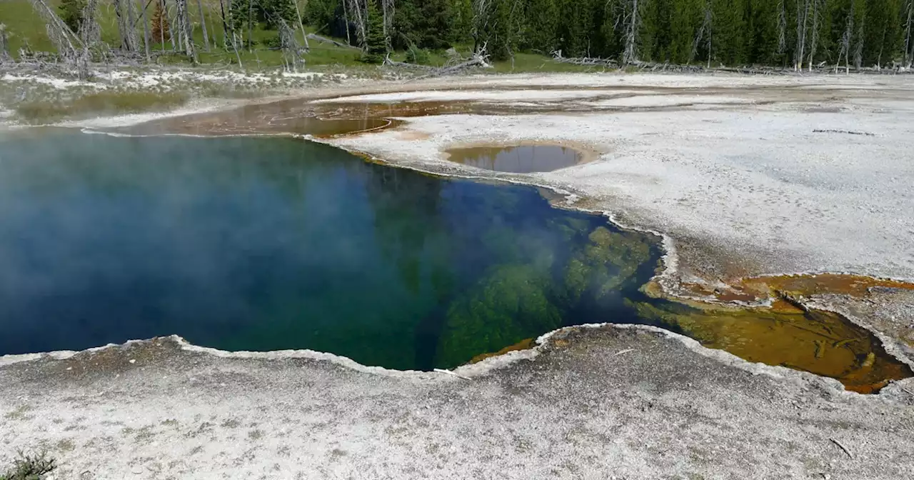 Human foot found in Yellowstone hot spring may be linked to July death