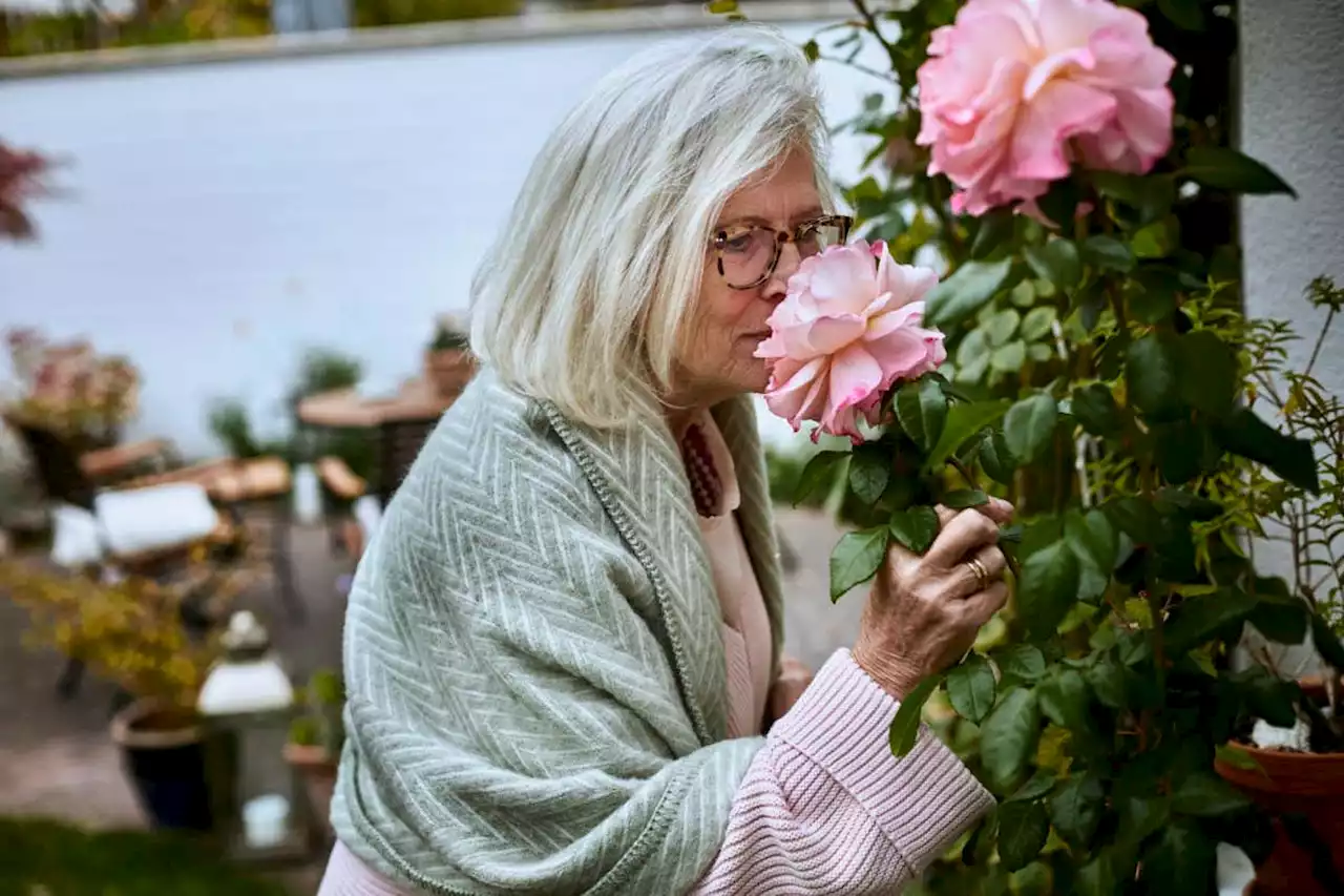 Scent review: How fragrant plants weave their magic