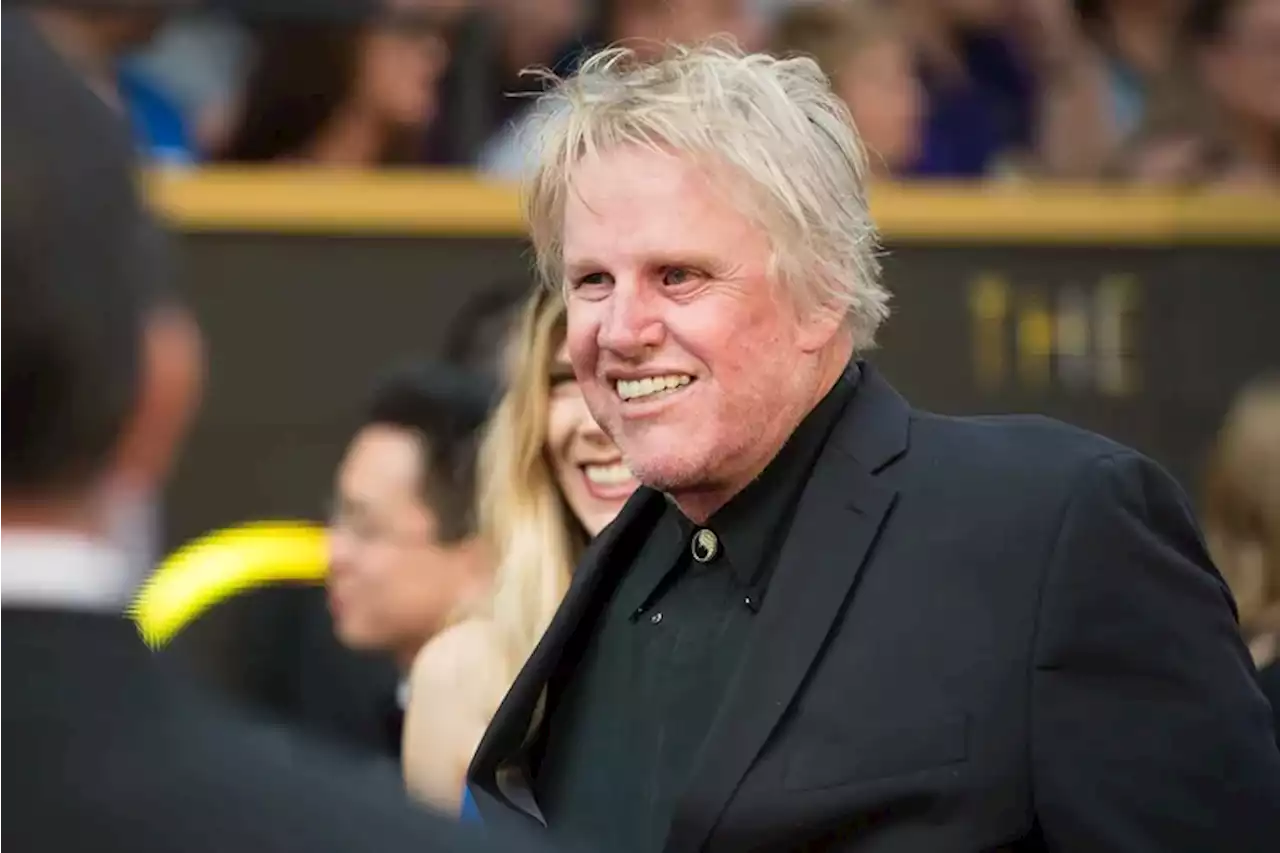 Police in Cherry Hill charge Gary Busey with a sex crime