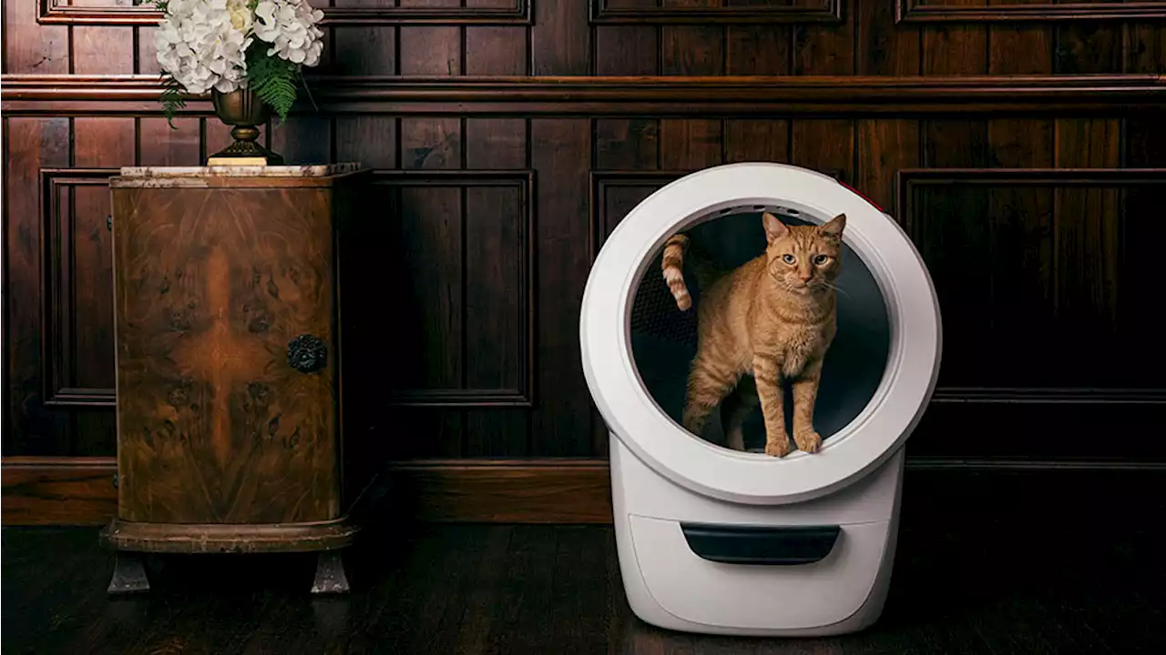 Robb Recommends: The Robot Litter Box Cleans Up After Your Cat So You Don’t Have to