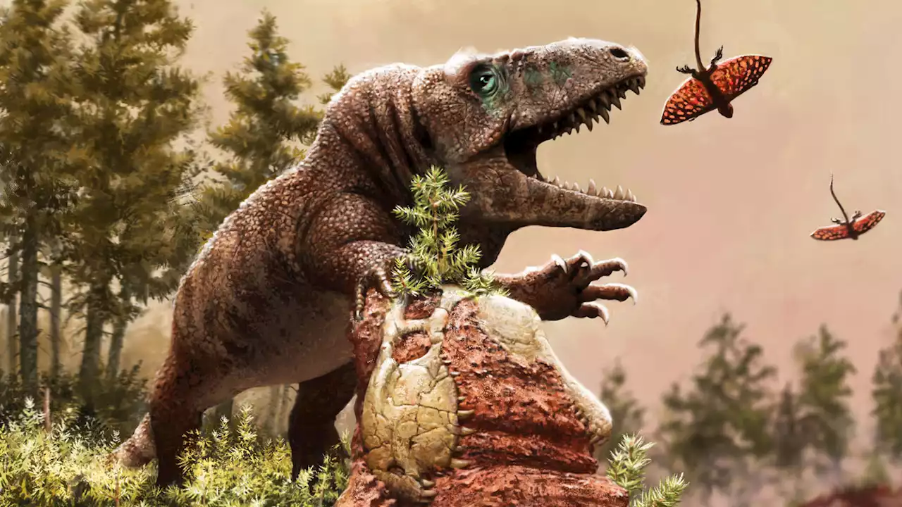 Extreme climate shifts long ago may have helped drive reptile evolution