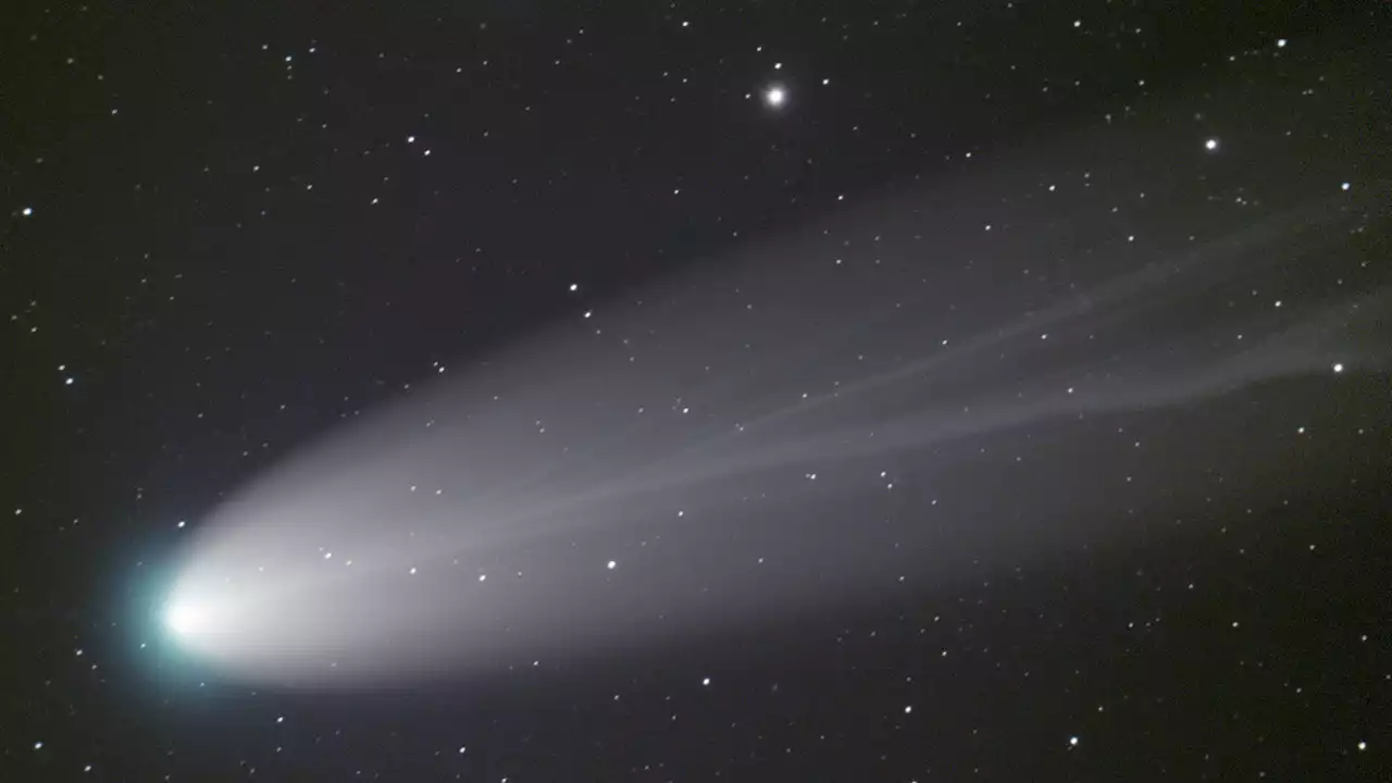 Oort cloud comets may spin themselves to death