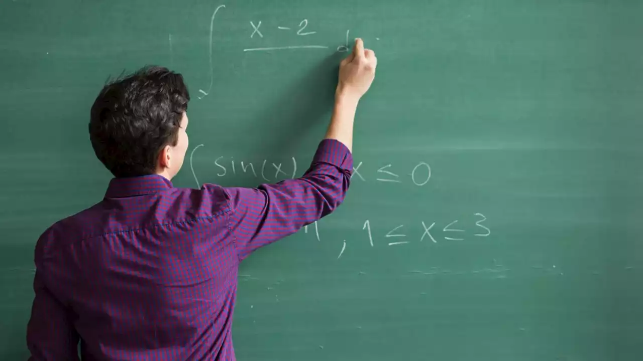 University teaching degrees under review