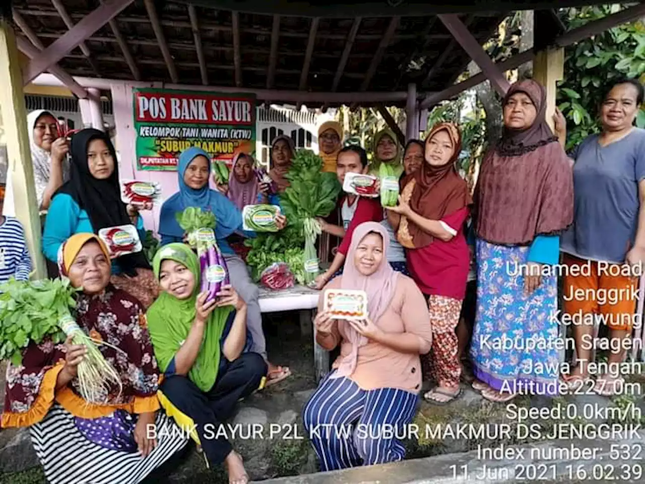 Inspiratif, Bank Sayur KWT Kedawung Sragen Ini Beri Solusi Masalah Warga