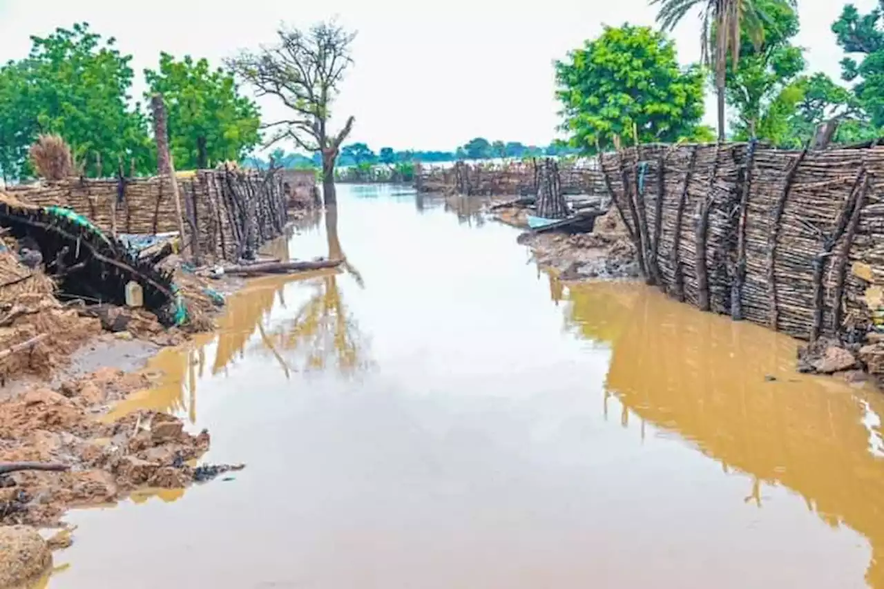 NEMA: 225 communities in Kano, Jigawa ravaged by flood in 8 weeks