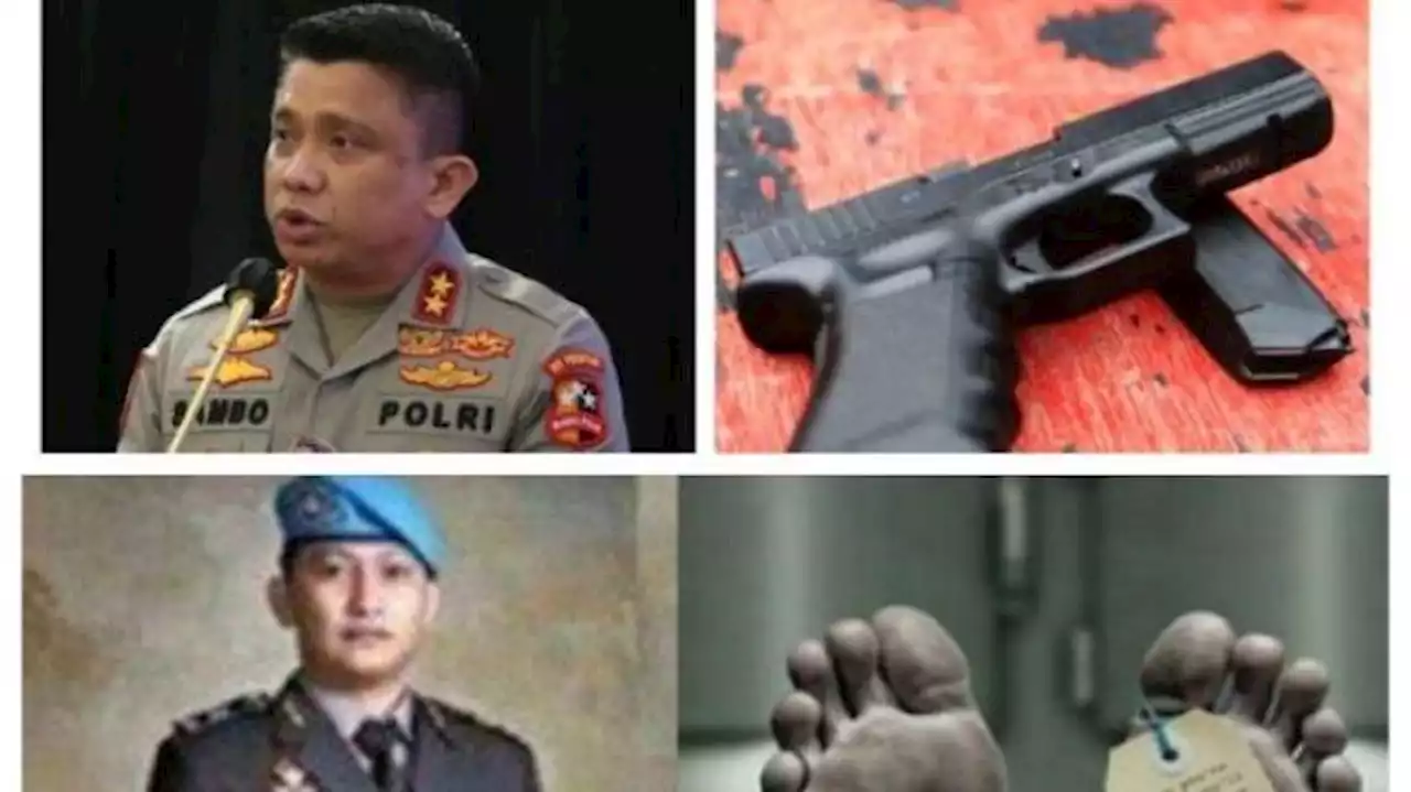 Motif Ferdy Sambo Bunuh Brigadir J, Pengamat: Diduga Motif Instrumental, Terwakili Konsorsium 303 - Tribunnews.com