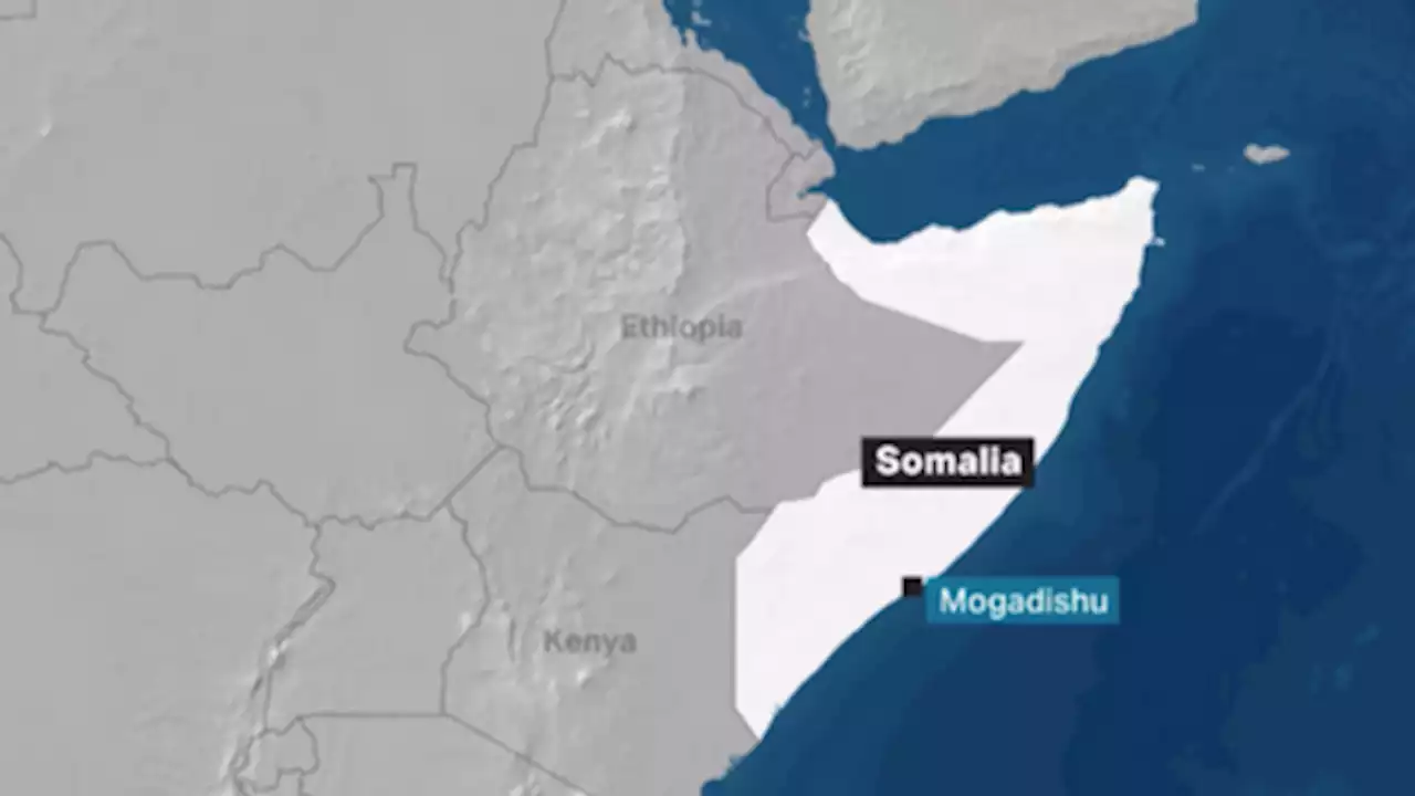 Al Shabab terrorists storm Mogadishu hotel, casualties feared