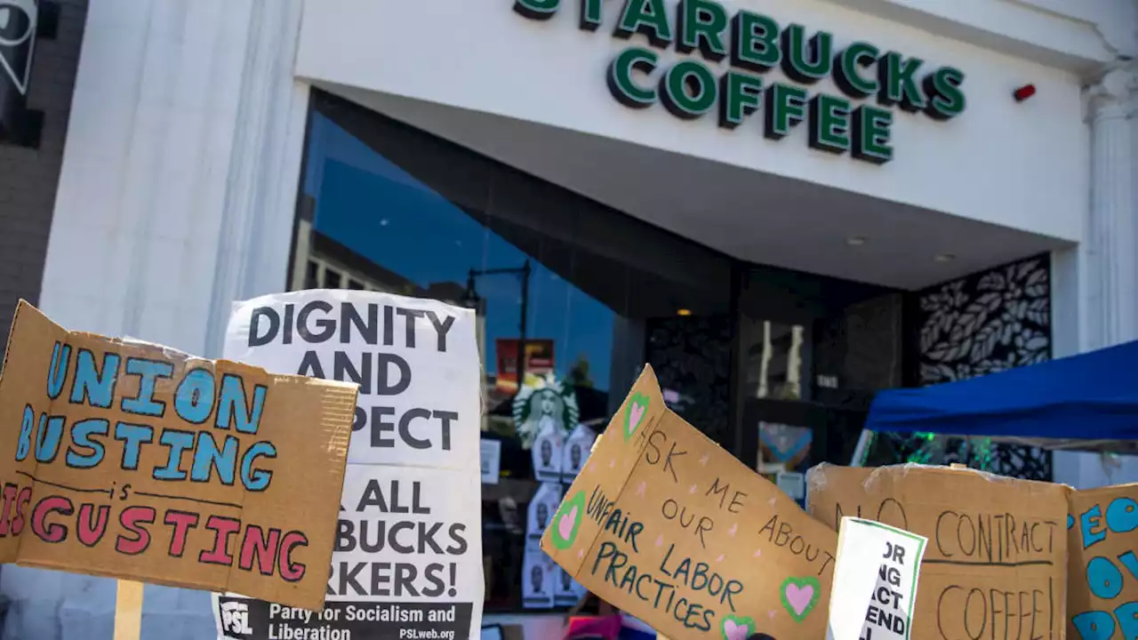 Judge Orders Starbucks to Reinstate 7 Fired Pro-Union Workers in Memphis