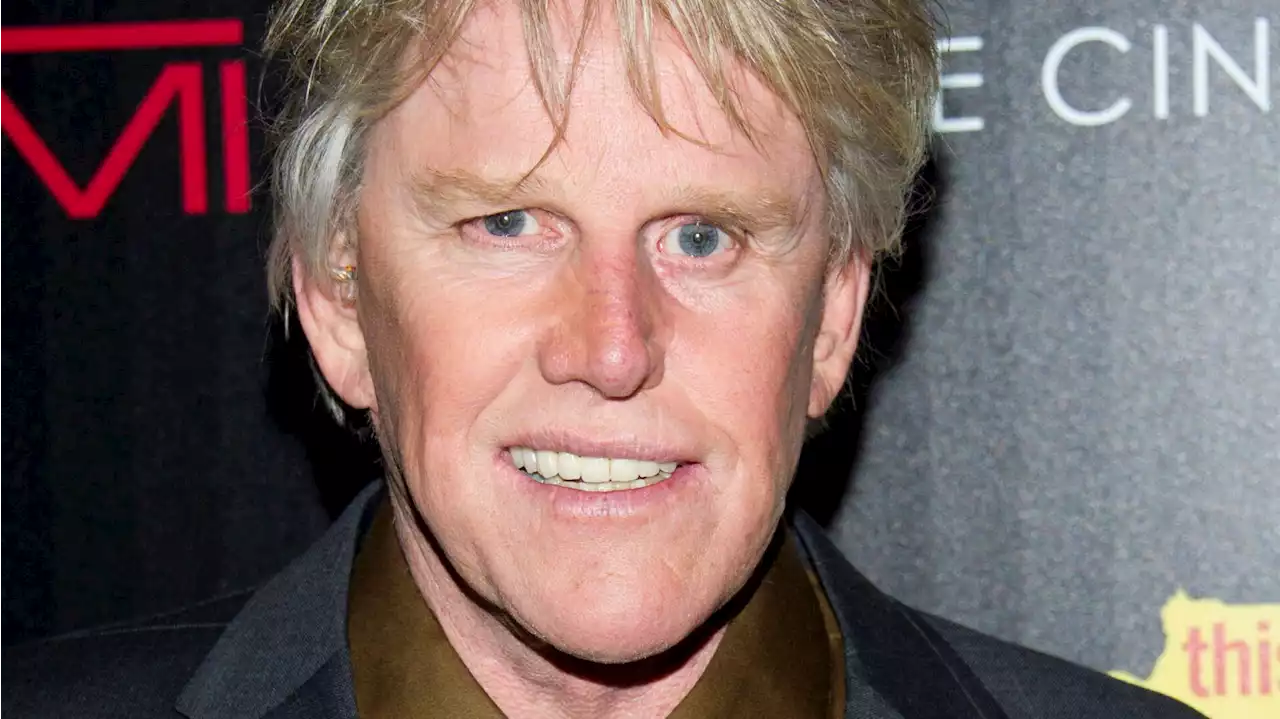 Gary Busey charged with sex offenses at Monster-Mania Con