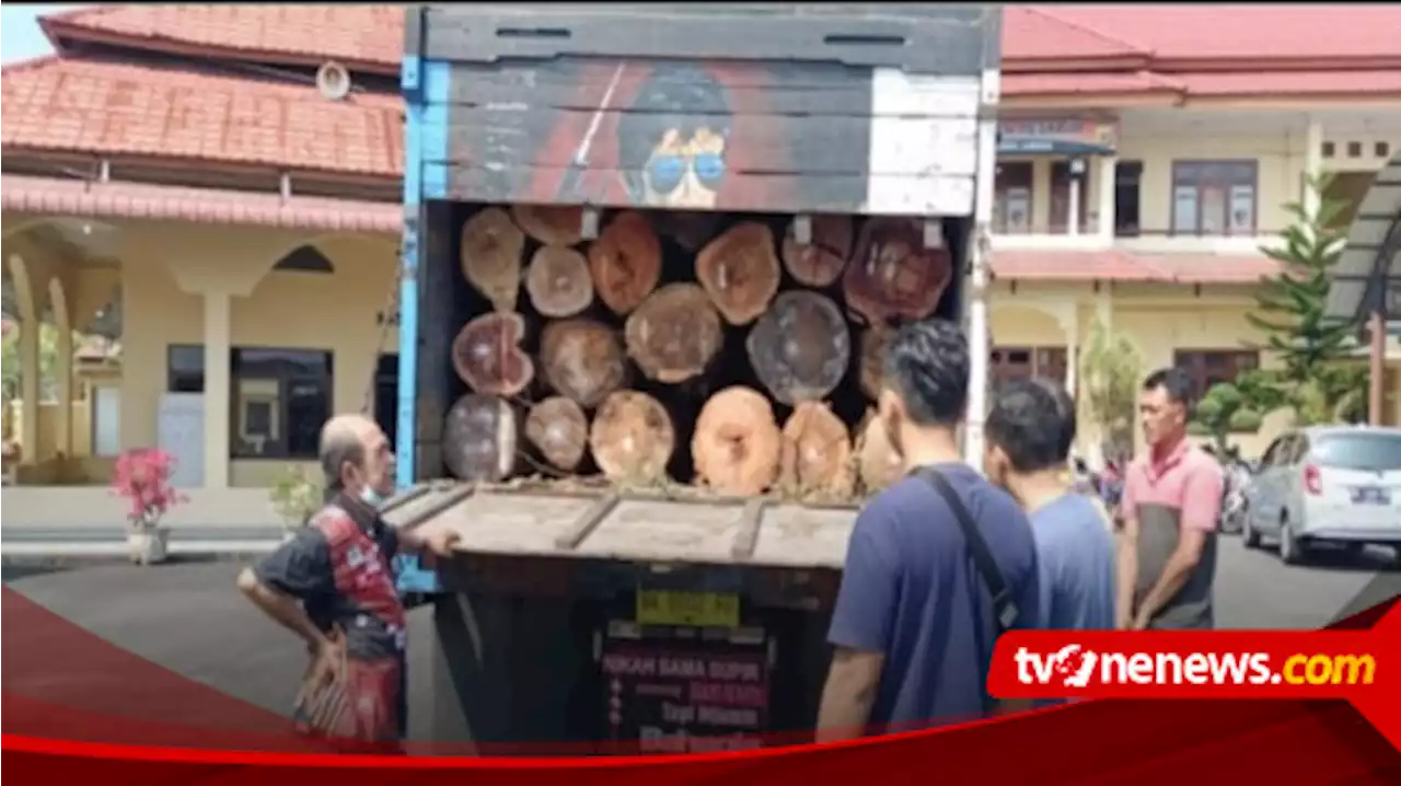 Polisi Tangkap Truk Pembawa Ilegal Logging