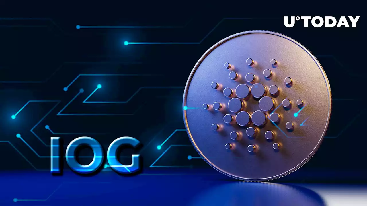 Cardano's IOG Gives Its Latest Update on State of Things for Vasil