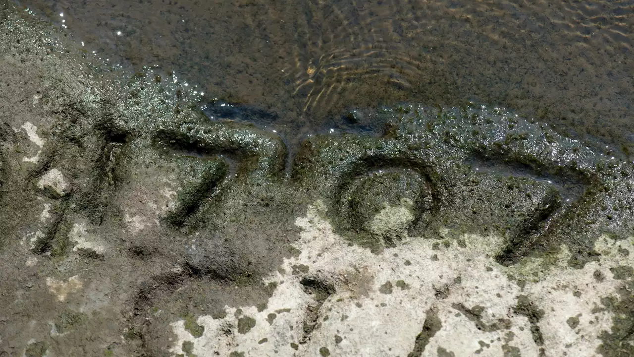 Rhein, Weser, Elbe: Dürre legt Hungersteine in Flüssen frei