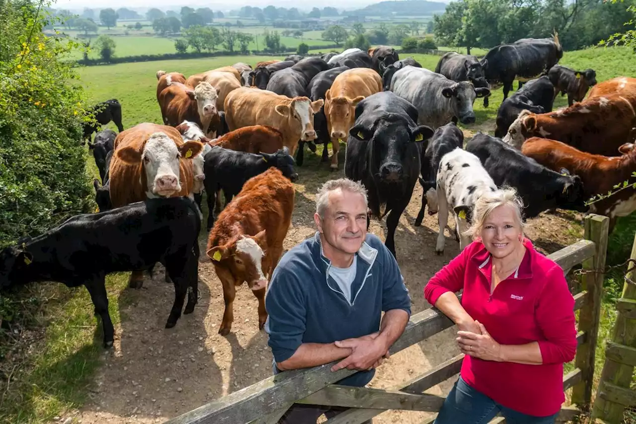 Farm of the Week: How North Yorkshire farmer turned to self-sufficiency and organic systems