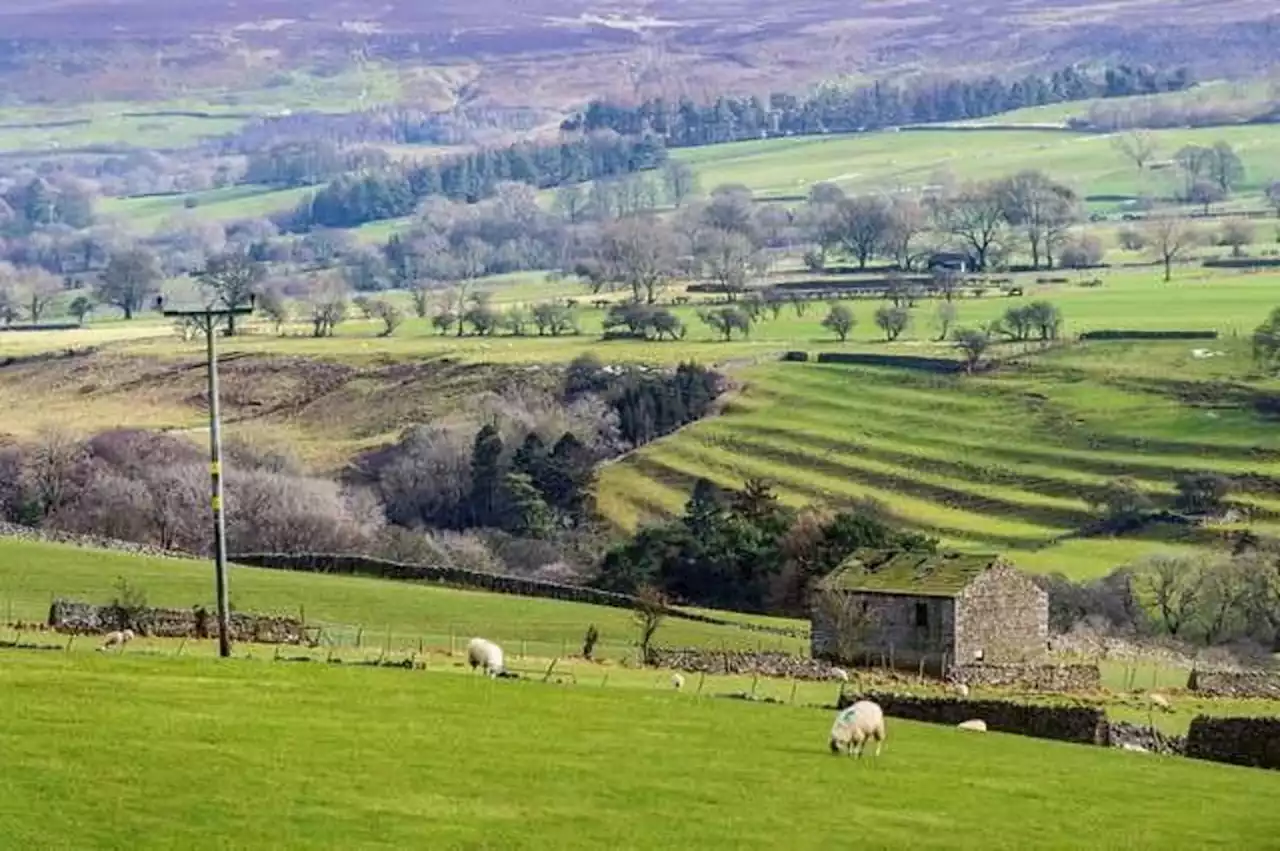 Residents of isolated Yorkshire dale unveil plan to bring community together after buying field