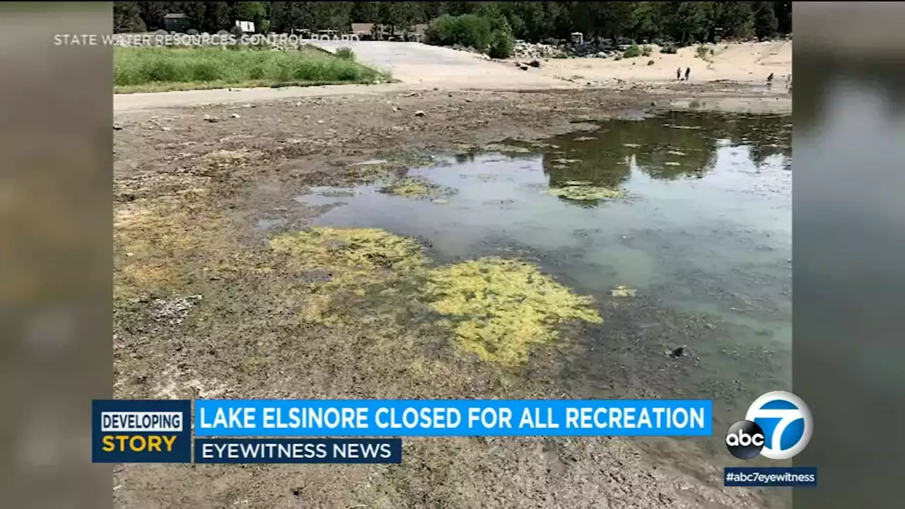 Lake Elsinore closed for all recreational uses after algae prompts 'danger' water warnings