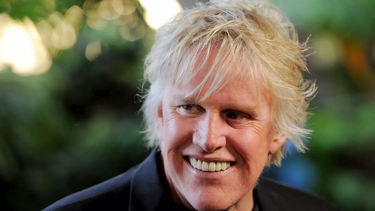 Gary Busey charged with sex offenses after incident at Monster-Mania Con in New Jersey