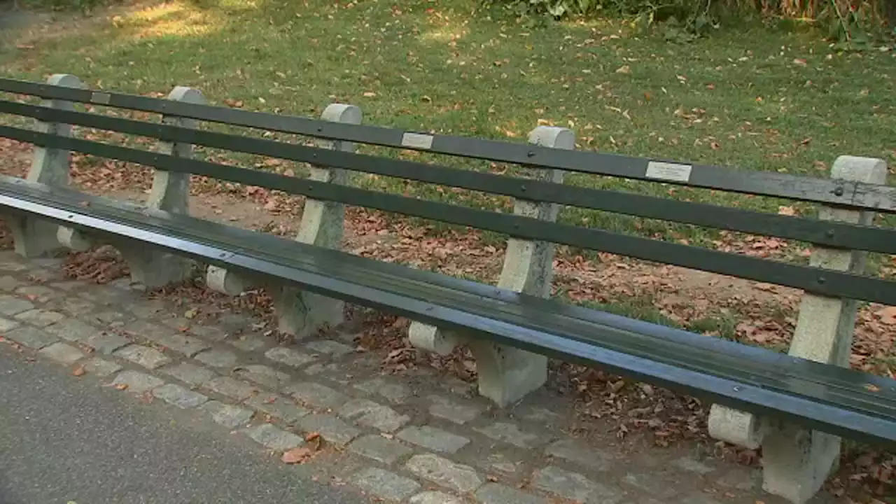 Man attacked, 83-year-old woman pushed to ground in Central Park