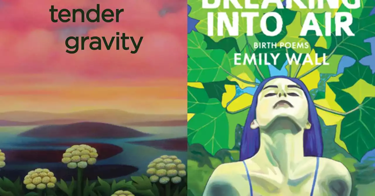 Book review: 2 new poetry collections lay the groundwork for reclaiming our humanity