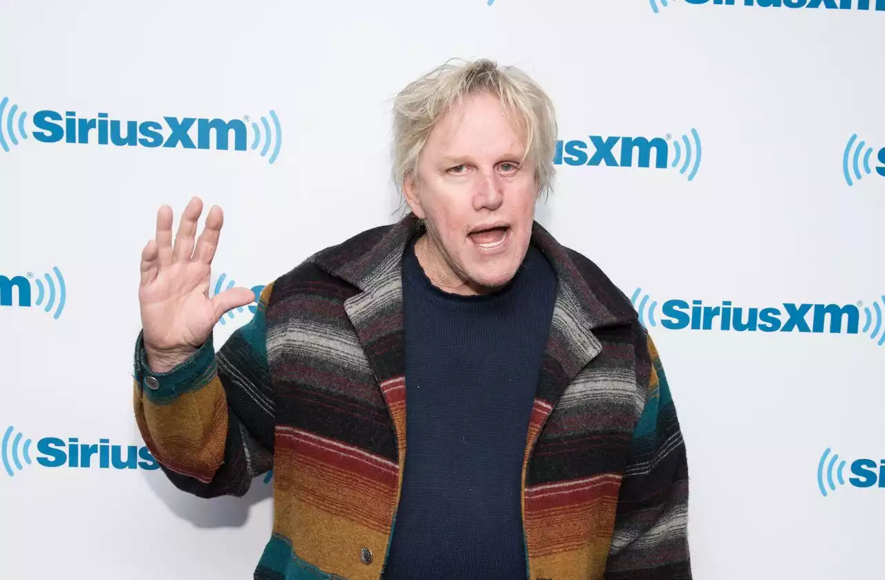 Actor Gary Busey charged with sex offenses at Monster-Mania Con in New Jersey