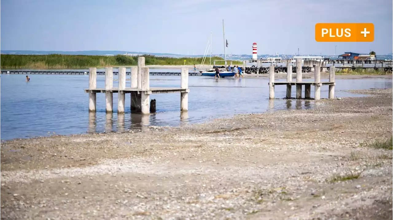 Das Wasser geht aus: Der Neusiedler See in Österreich ist in Gefahr