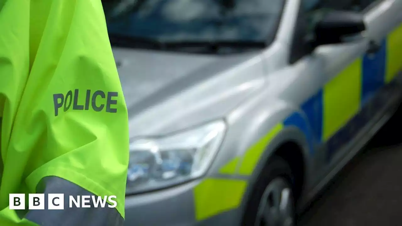 Driver, 73, dies after van crash near Newton Mearns