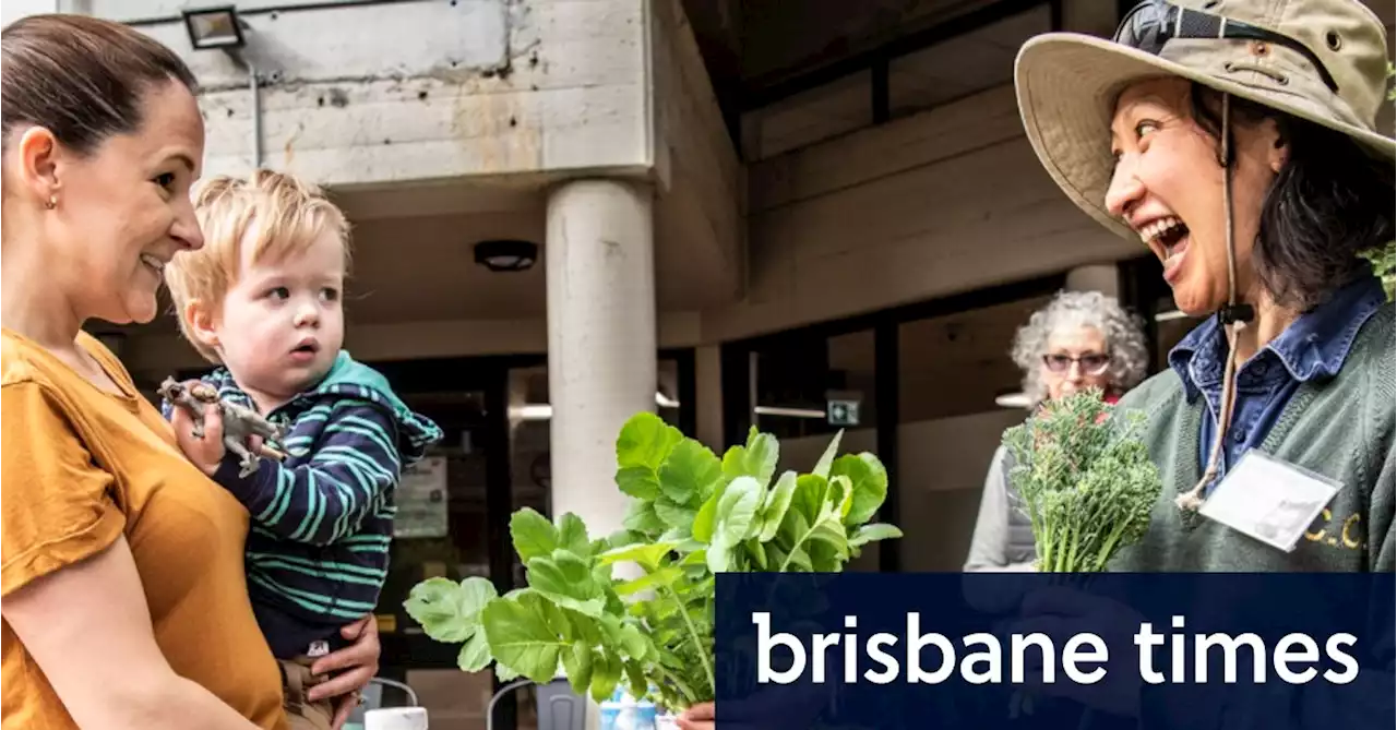 Why Australian supermarkets can’t scrap ‘bizarre’ best-before dates
