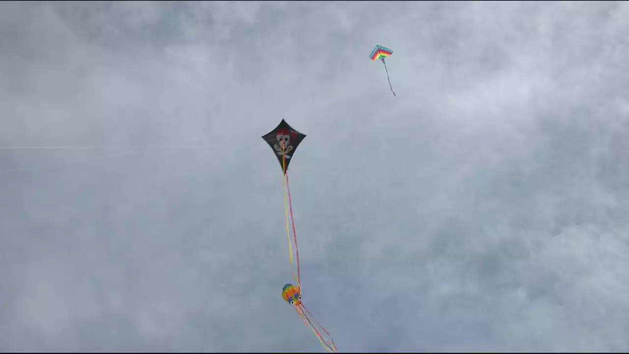 Afghanistan: Kites flown across UK in ‘act of defiance’ against Taliban