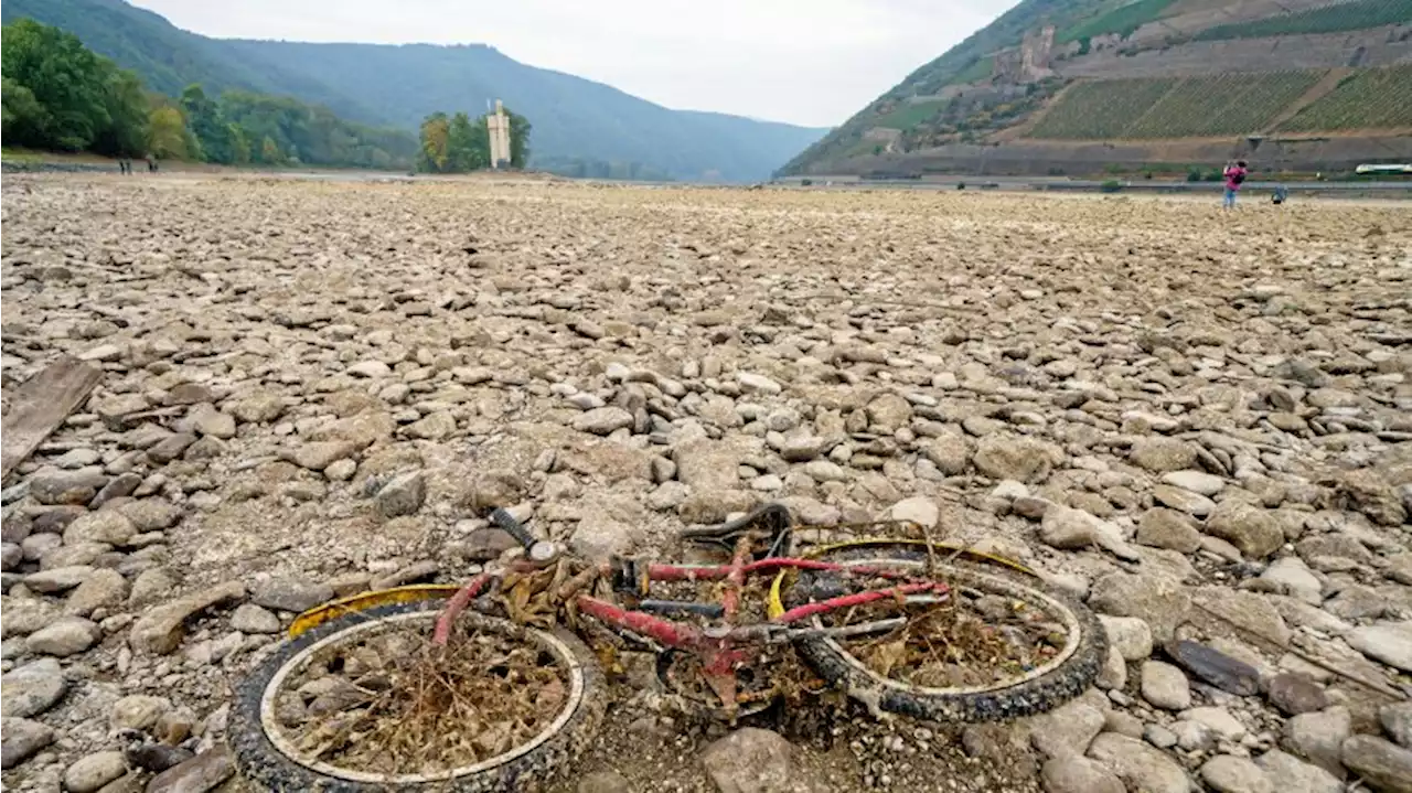 Klimaforscher warnt vor Stromkrise im Winter