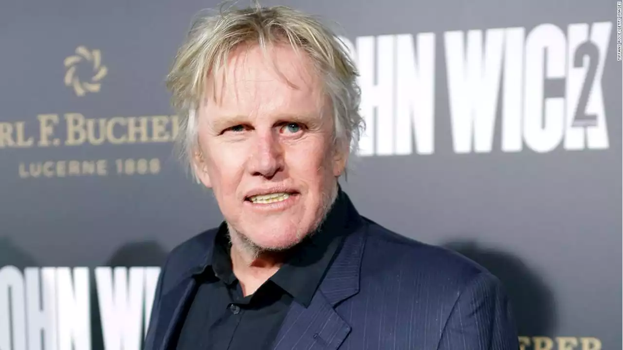 Actor Gary Busey faces sex offense charges at Monster Mania Convention in New Jersey