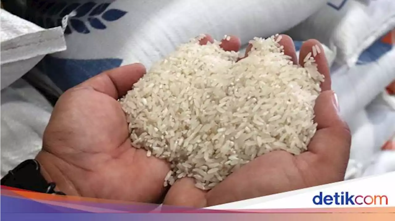 Adakah Beras Impor Beredar di Pasar? Pedagang Bilang Begini