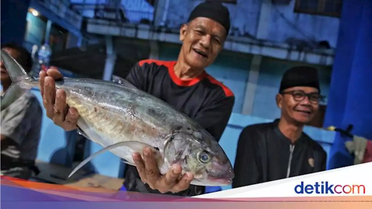 Uniknya Pasar Ikan di Tarempa, Jual Belinya Tanpa Timbangan Lho