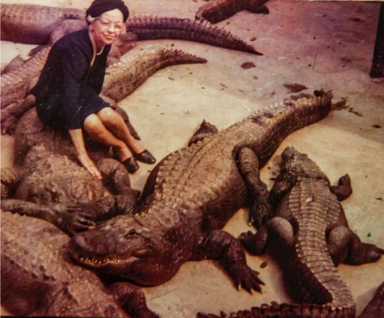 Alligator Garden at Brackenridge closed 47 years ago this month