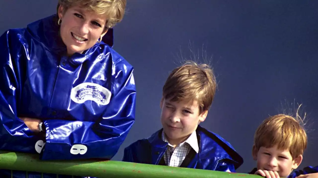 Princess Diana Saw a Much Different Future for the Relationship Between Brothers Prince William and Prince Harry