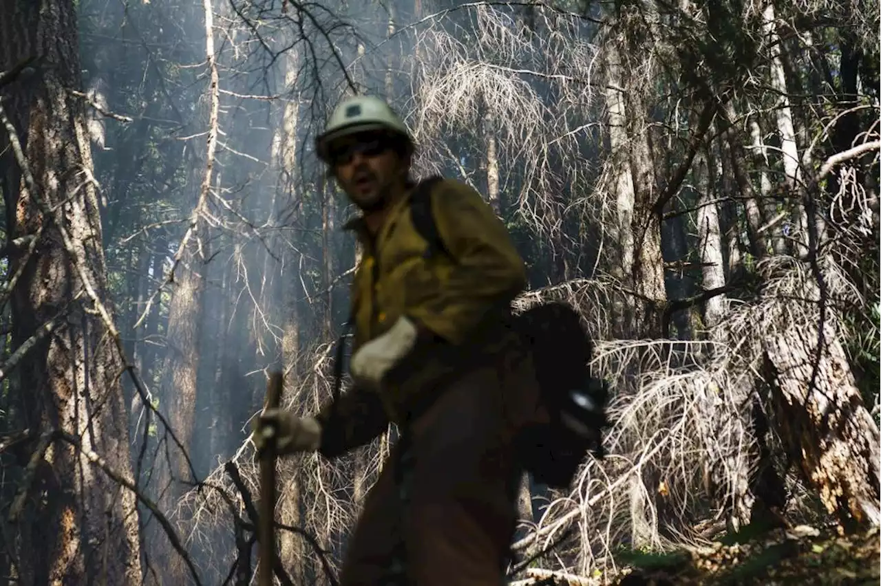 Six Rivers fires are 81% contained