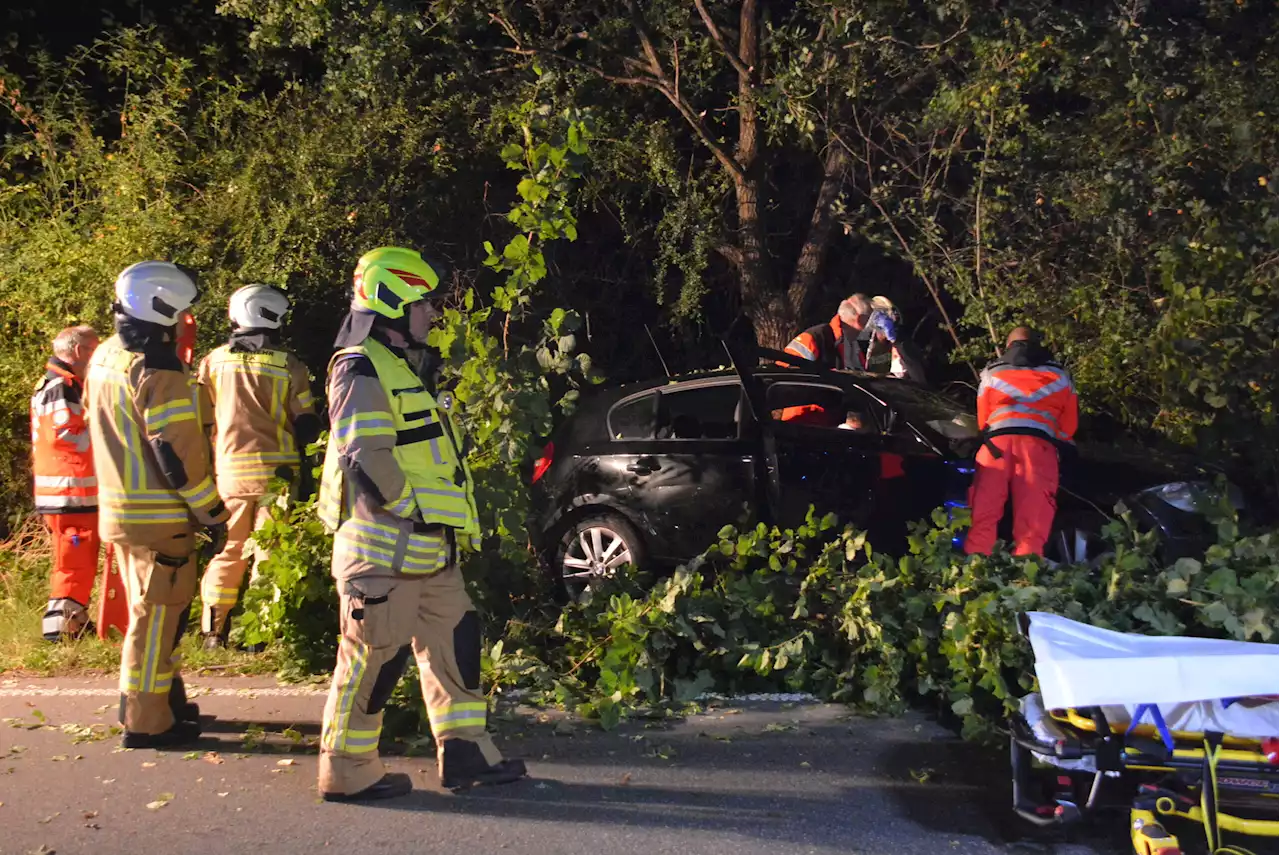 Bei Hamburg: Frau fährt mit BMW gegen Baum – schwer verletzt