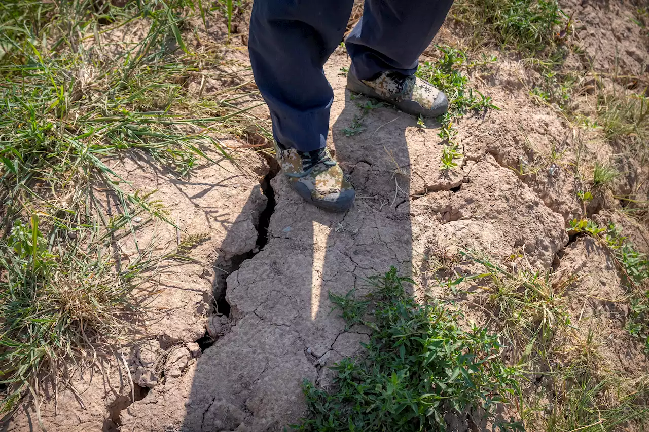 China Plans Cloud Seeding to Protect Grain Crop Amid Drought