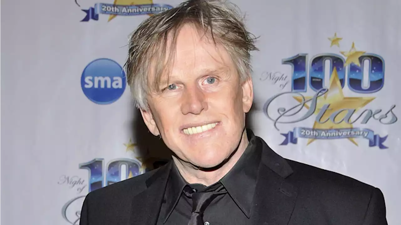 Actor Gary Busey Hit With Multiple Sex Offense Charges at NJ Hotel