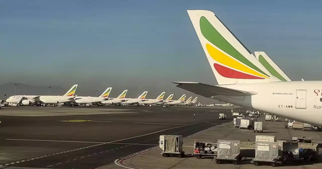 Pilots on Ethiopian Airlines flight reportedly fall asleep, miss landing