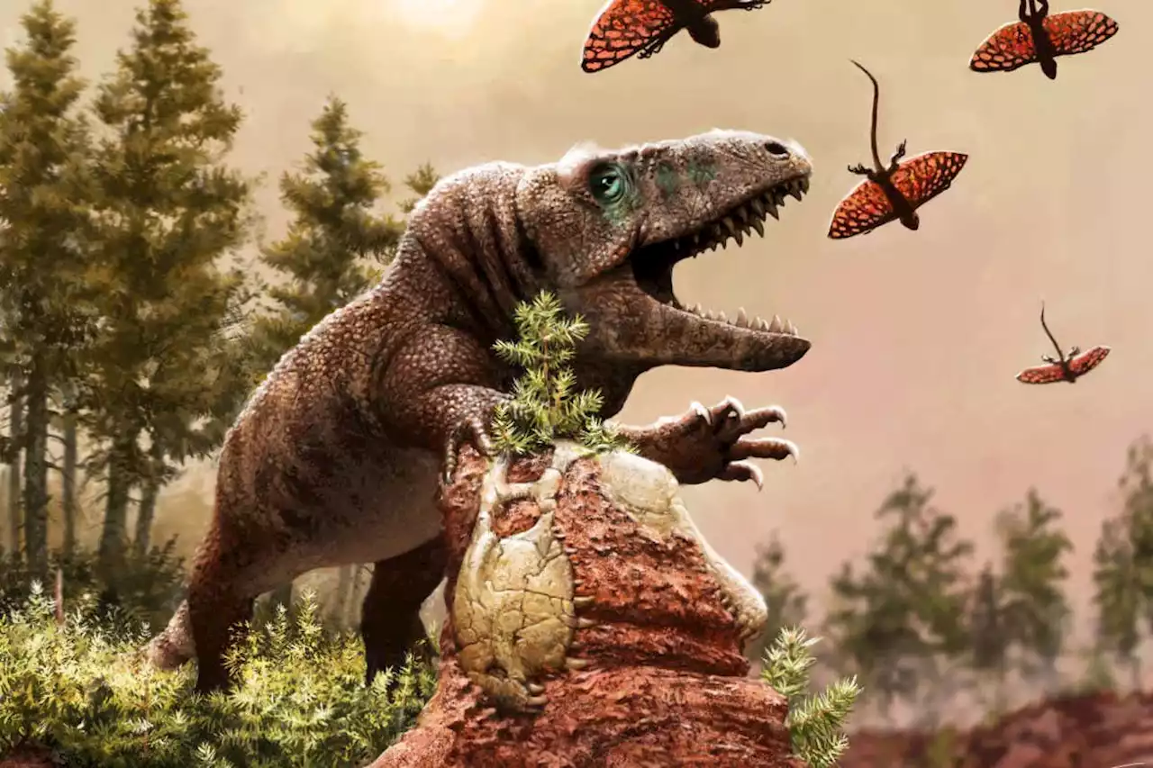 Reptile boom 250 million years ago may have been due to global warming