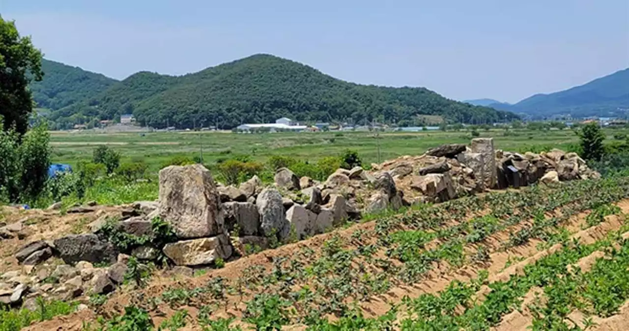 흔적만 남은 돈대 앞에서 개성 가는 꿈을 꿉니다