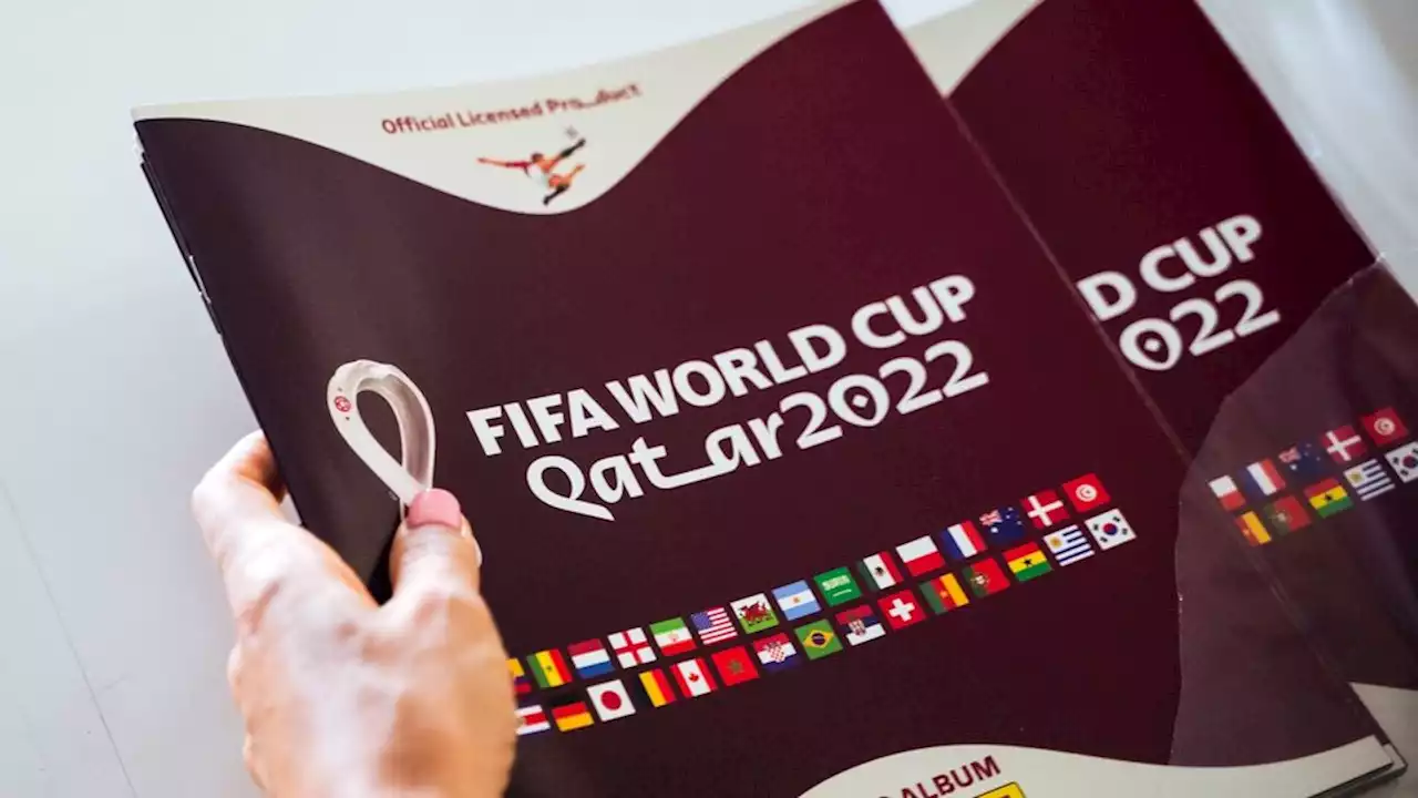 En 24 horas se agotaron el álbum y las figuritas del Mundial Qatar 2022 | Furor total