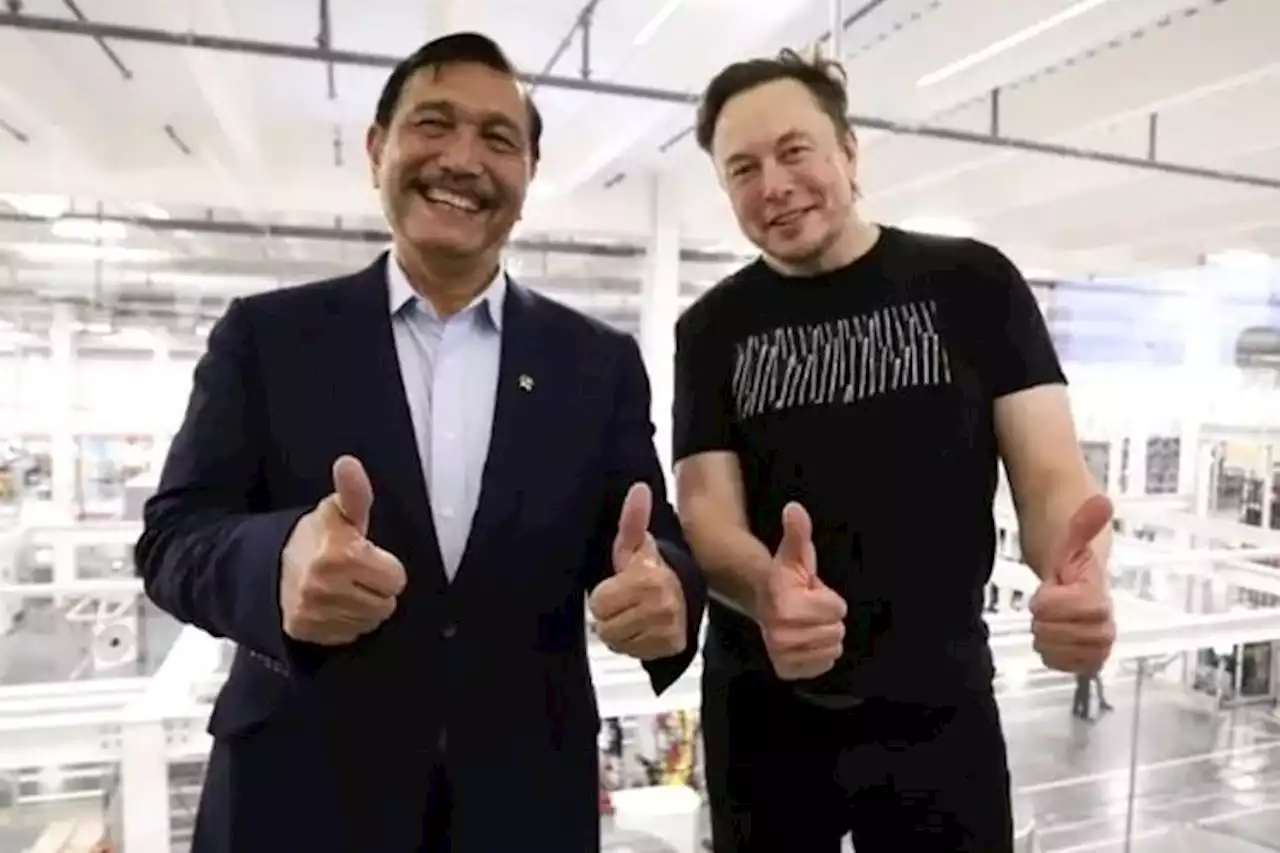 Luhut Pandjaitan Tagih Kejelasan Elon Musk Soal Rencana Investasi Tesla di Indonesia: Hey Mau Kau Gimana? - Pikiran-Rakyat.com