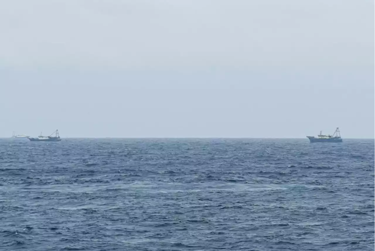 Bakamla RI Tangkap Kapal Ikan Asing Vietnam di Perairan Natuna Utara |Republika Online