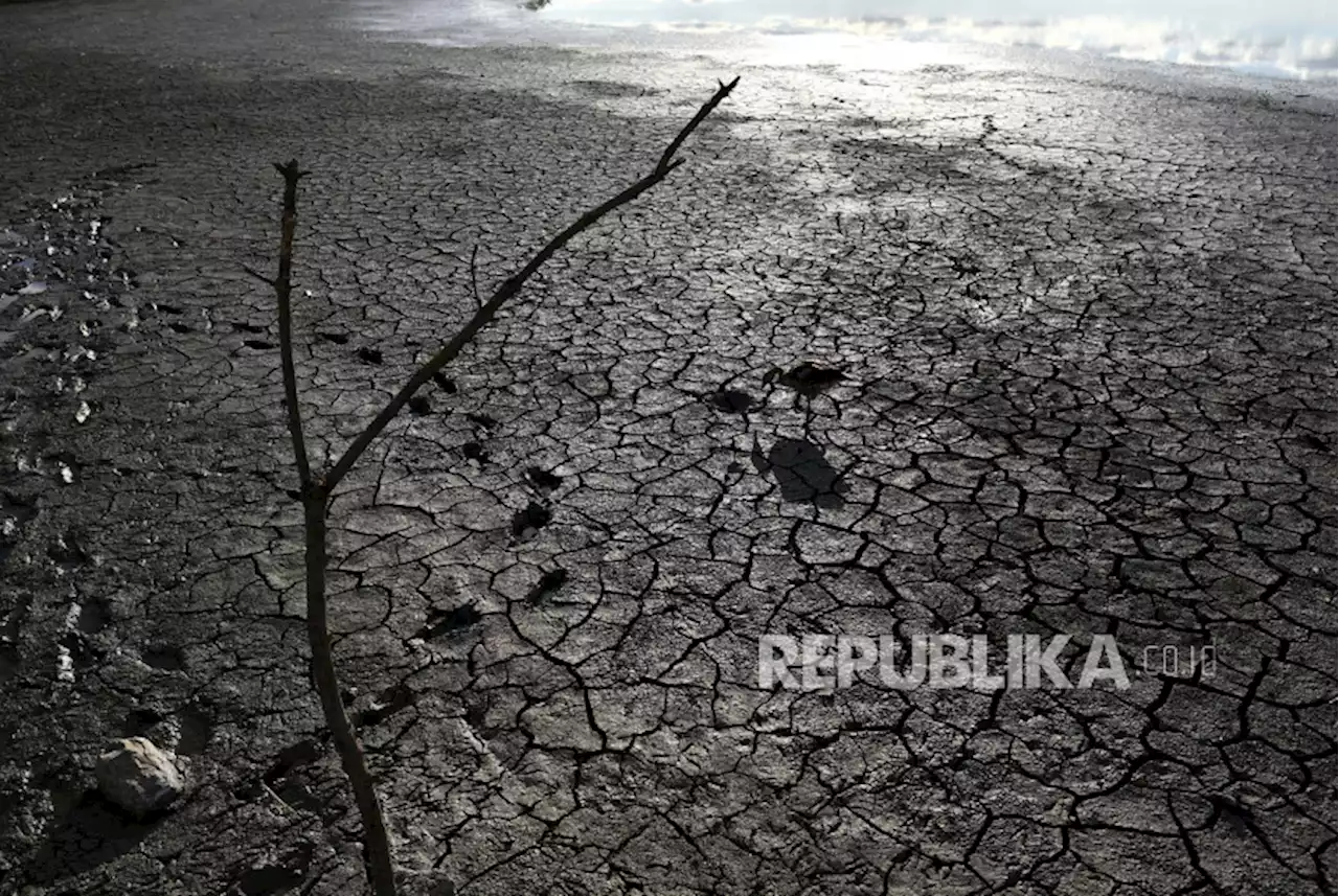 Kekeringan Eropa Perlihatkan Batu Kuno hingga Kapal Perang Dunia II |Republika Online