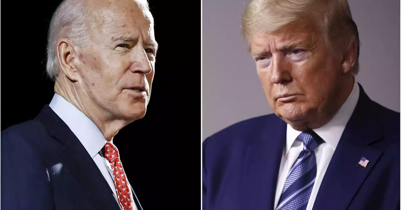 Opinion: Should Joe Biden just pardon Donald Trump to heal growing political division?